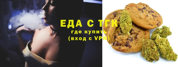 гашик Горняк