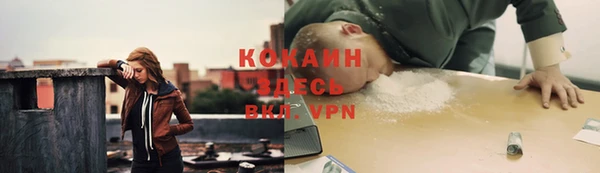 гашик Горняк