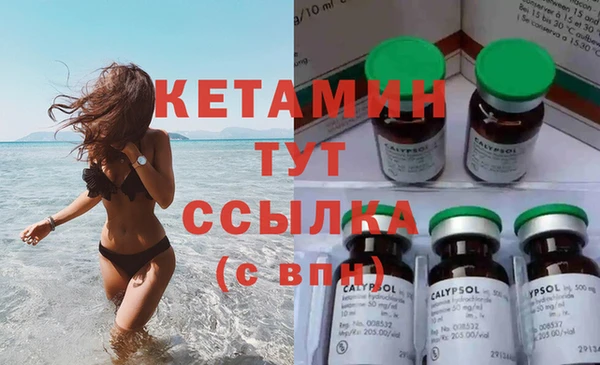 гашик Горняк