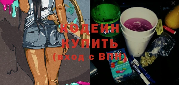 гашик Горняк
