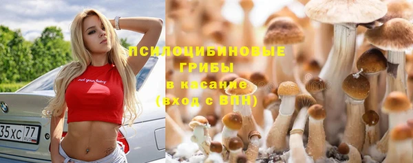 кокаин Горнозаводск