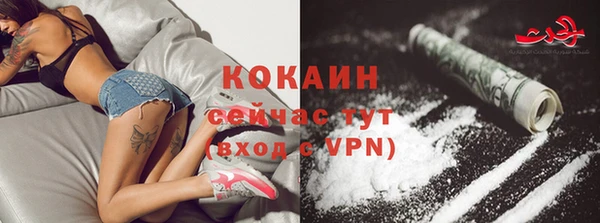 гашик Горняк
