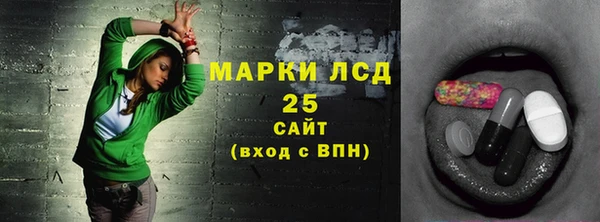 гашик Горняк