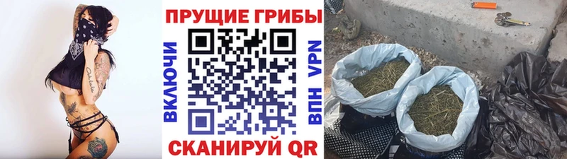 Купить закладки  Северодвинск  Псилоцибиновые грибы ЛСД 